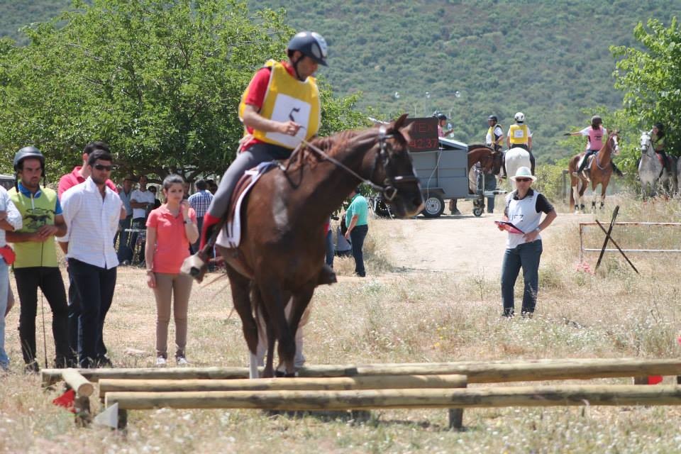 Pau Dorca Campeón de España absoluto de TREC 2014 y el equipo Navarro medalla de bronce